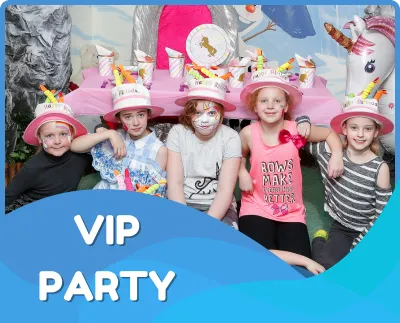 VIP Party Package Image
