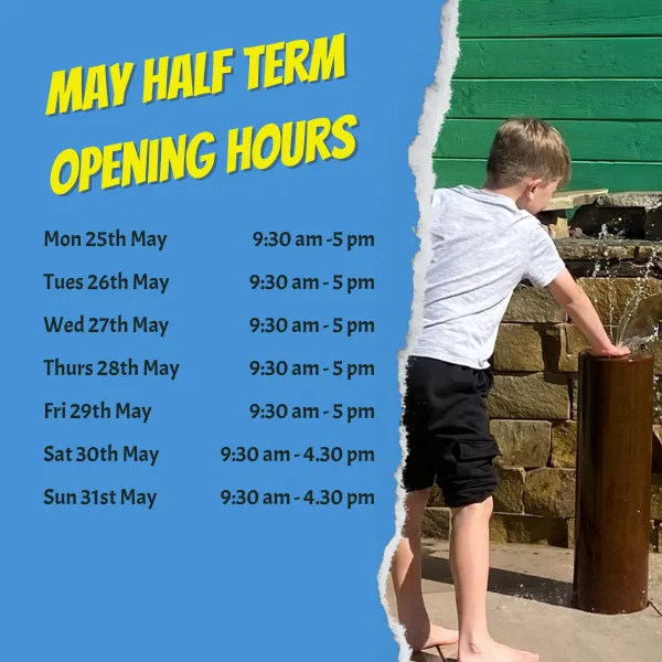 Party and Play Funhouse Opening Hours