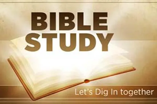 a branch of a tree with white flowers