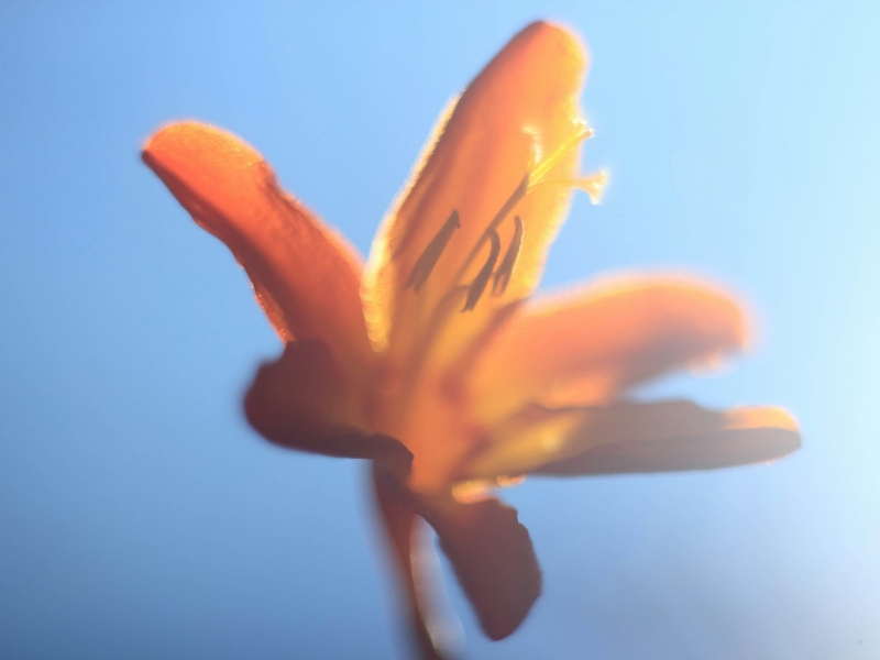 My First Day in Real Estate