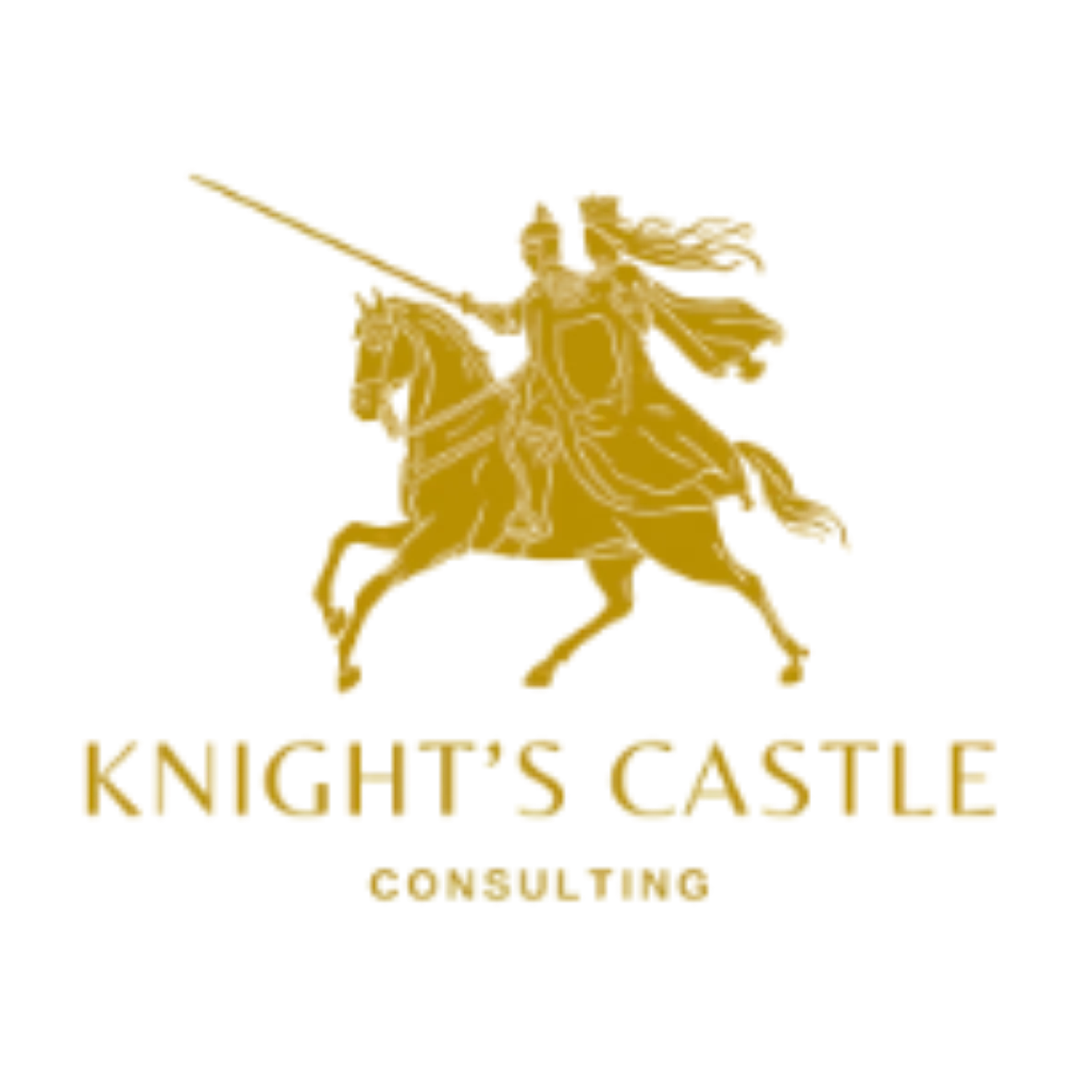 Knights Castle Consulting