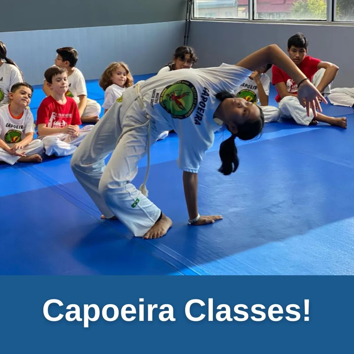 Summer Camp Capoeira Classes!