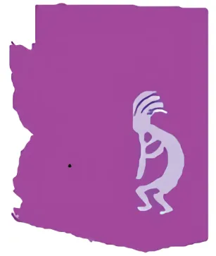 Arizona Small Business Accounting Inc Logo