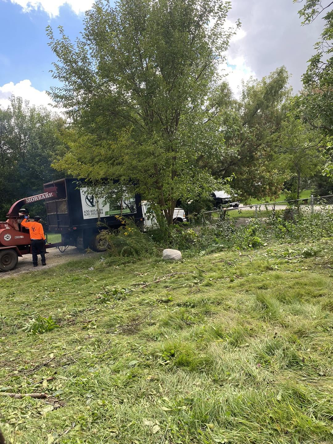 Lot clearing project showing transformation before and after