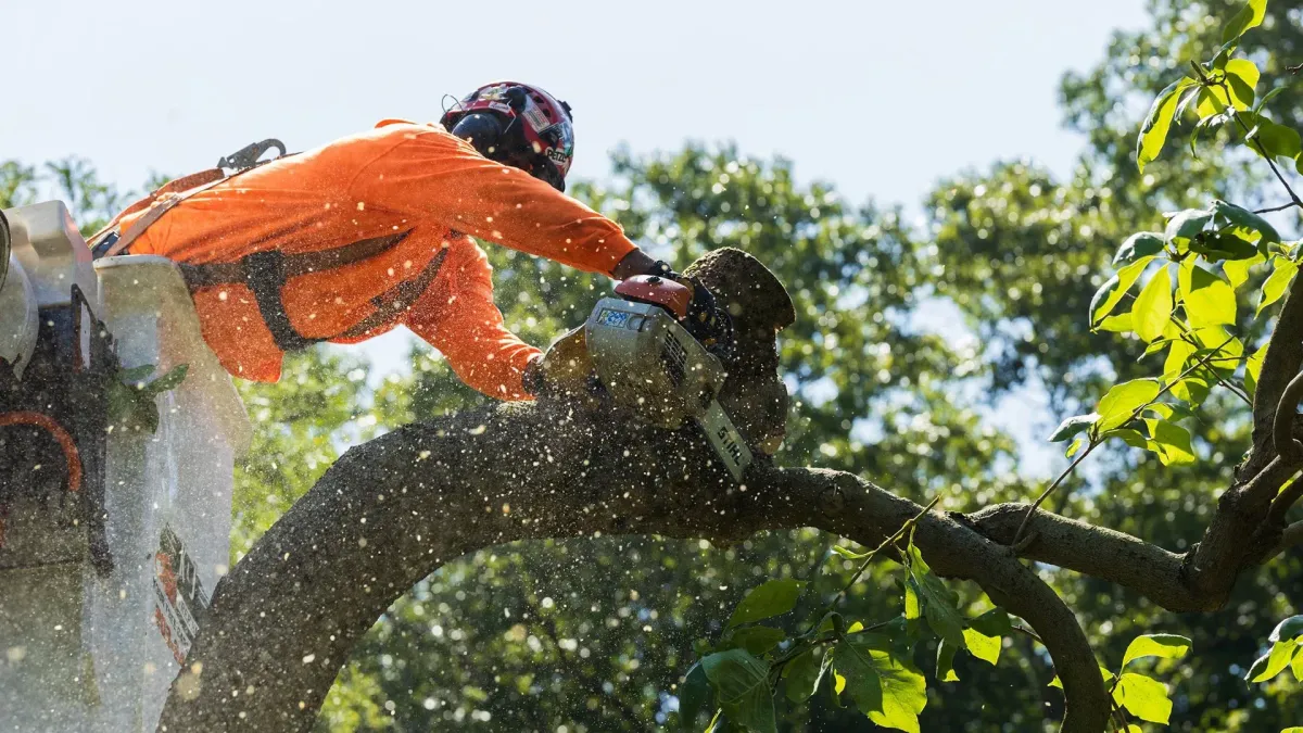 Storm Damage Cleanup