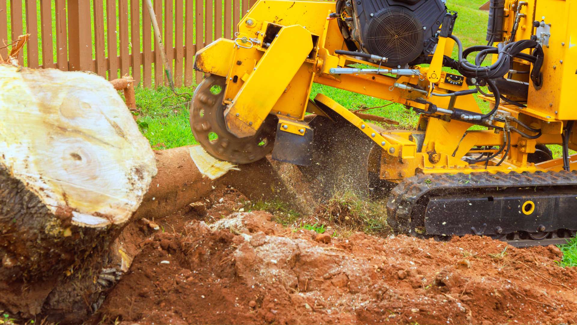 Stump Grinding