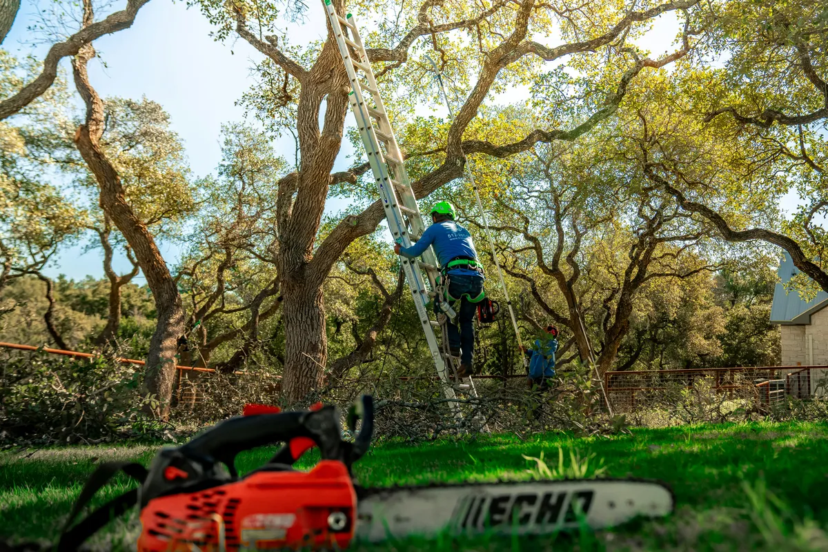 Lot Clearing Services