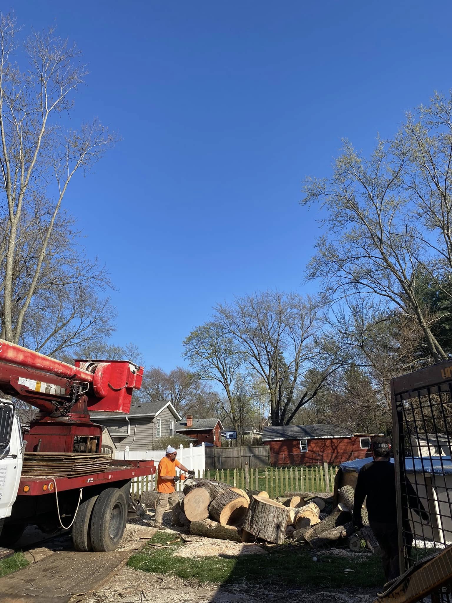 Complex stump grinding process showing precision and care