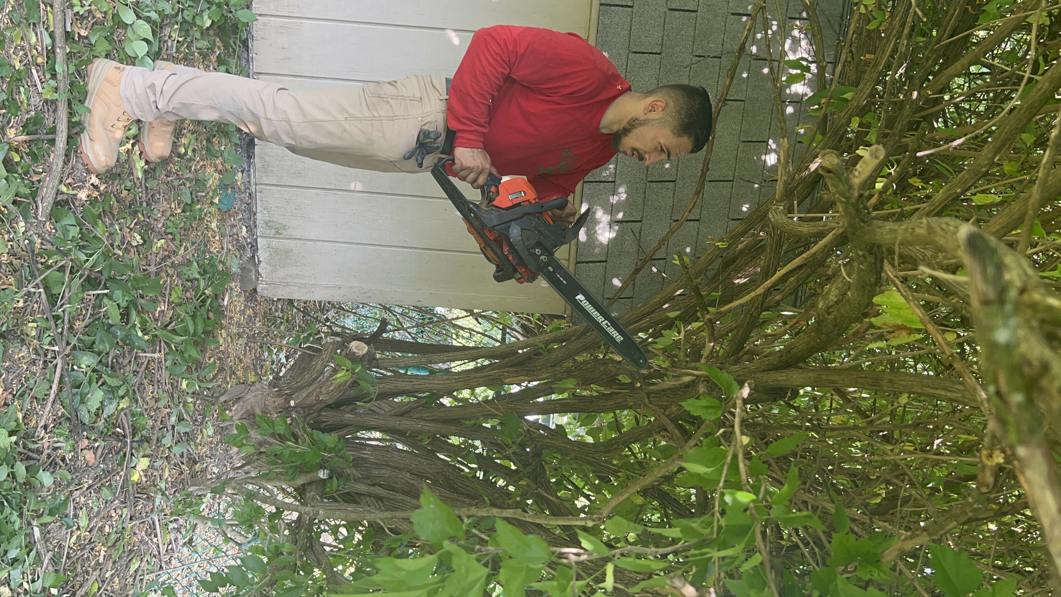 Tree Trimming In Columbus OH