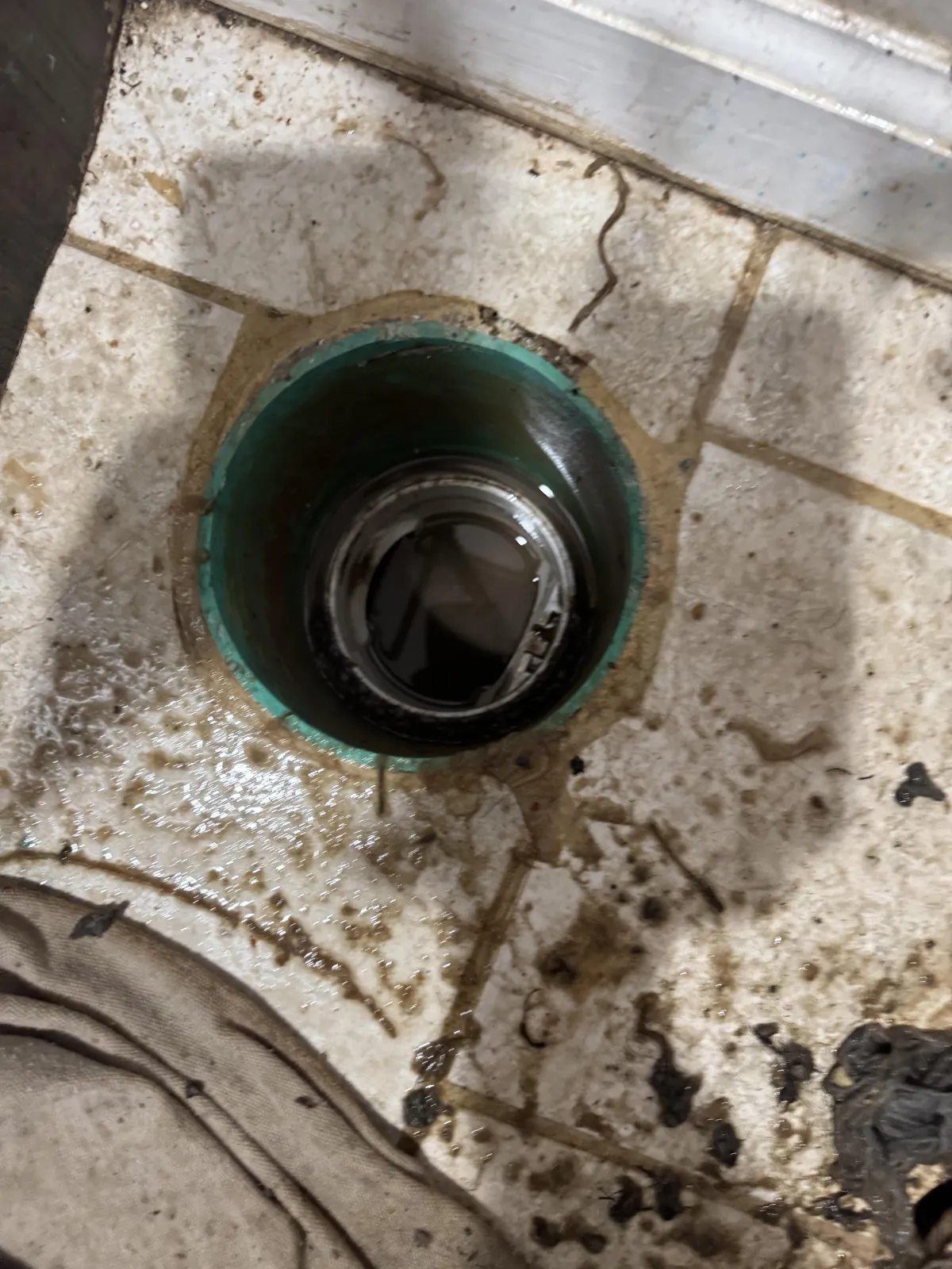 Expert Drain Cleaning & Clog Removal
