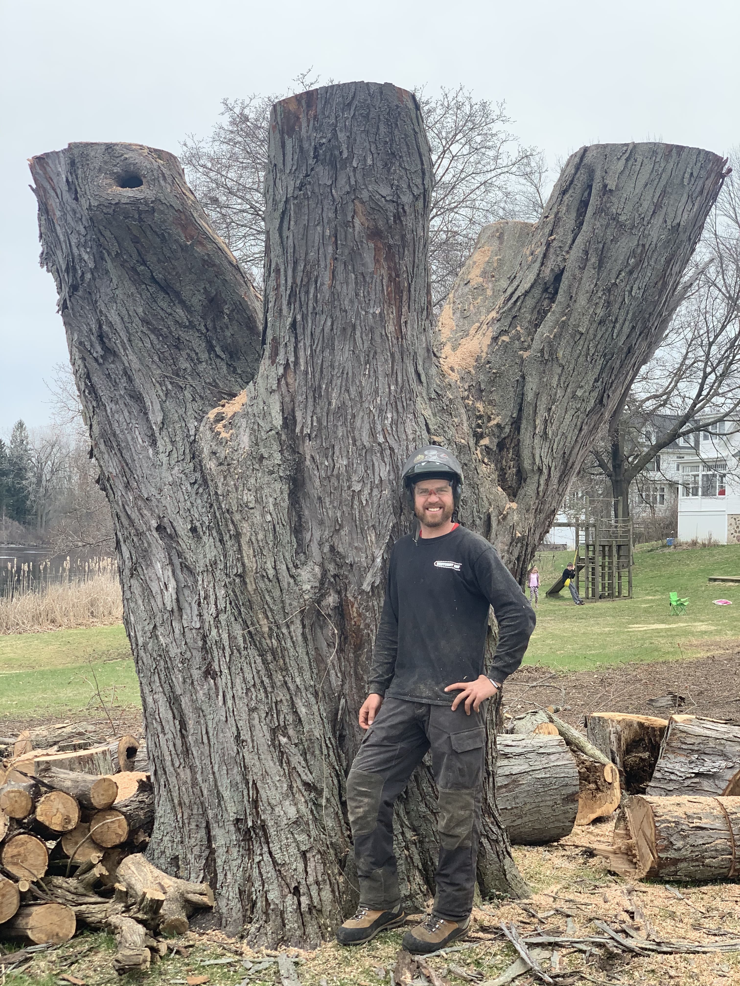 Tree Removal in Sheboygan County