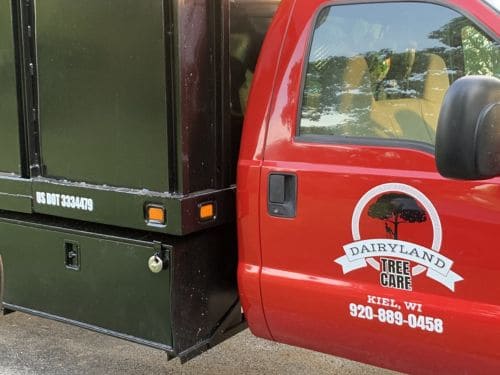 Tree Service Sheboygan County