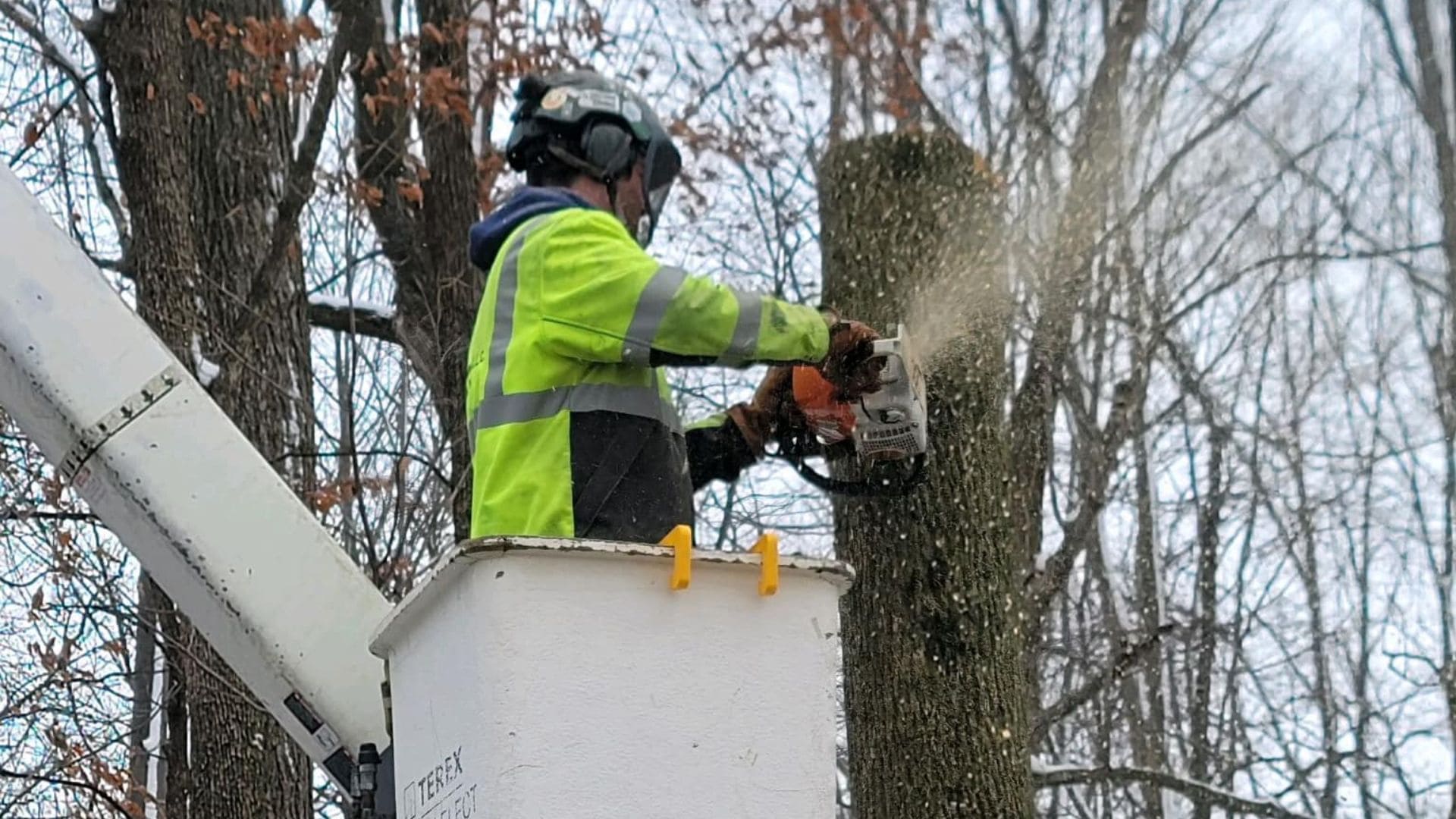  Tree Removal