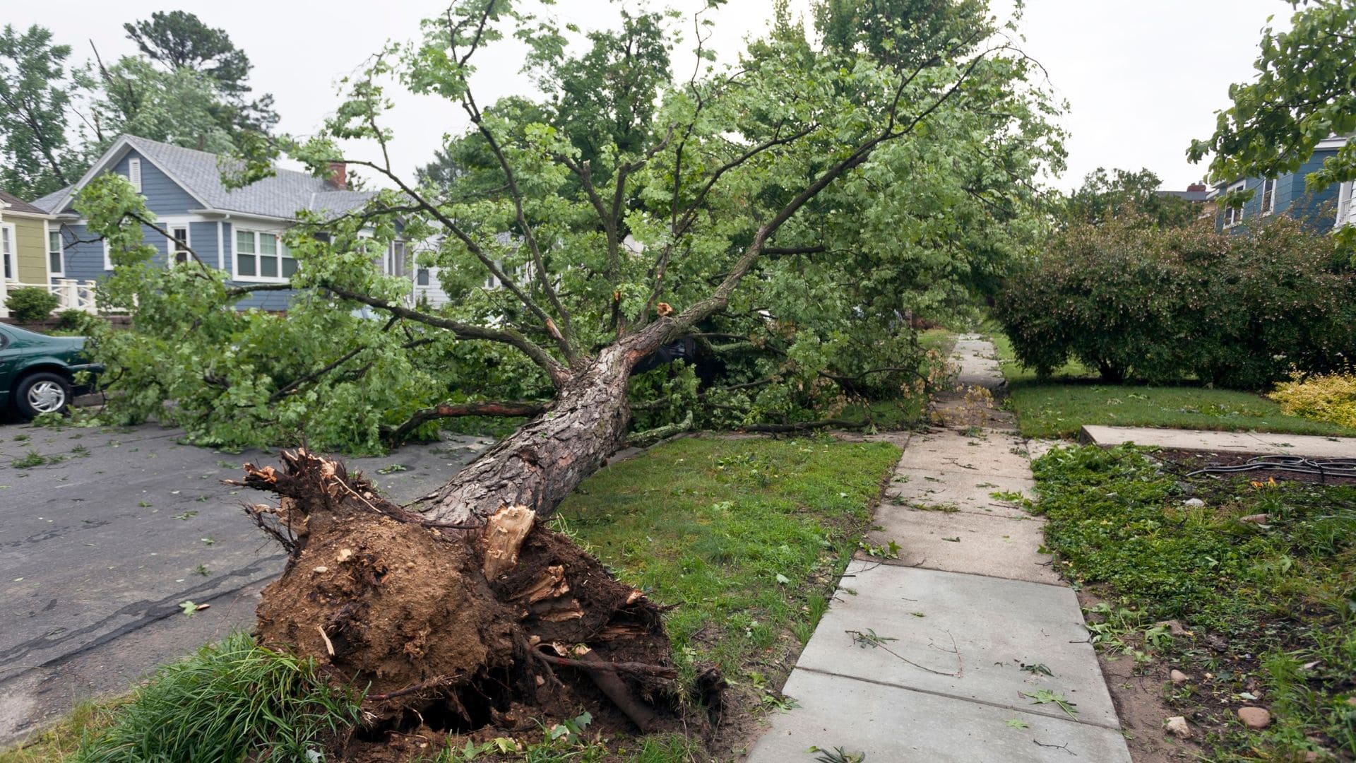 Emergency Tree Service in Sheboygan County