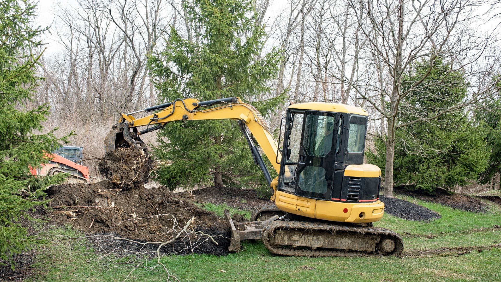 Lot Clearing in Sheboygan County