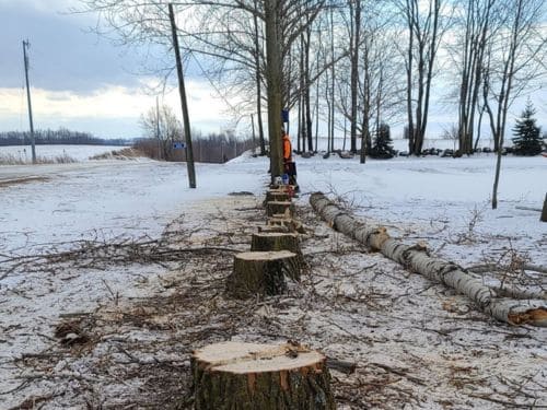 Manitowoc County Lot Clearing