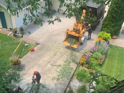 Manitowoc County Tree Trimming