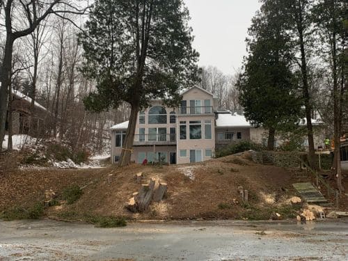 Sheboygan County Tree Removal