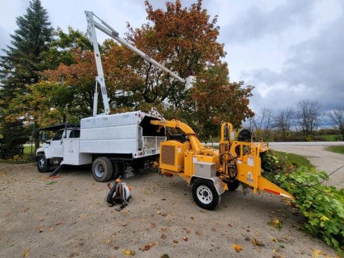 New Holstein Emergency Tree Service