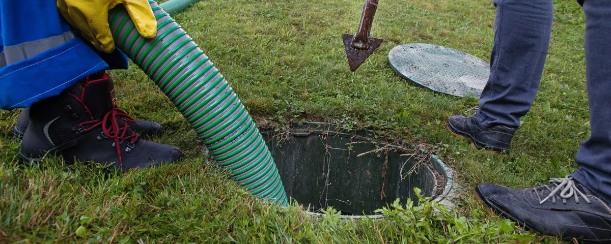 what eats sludge in septic tank