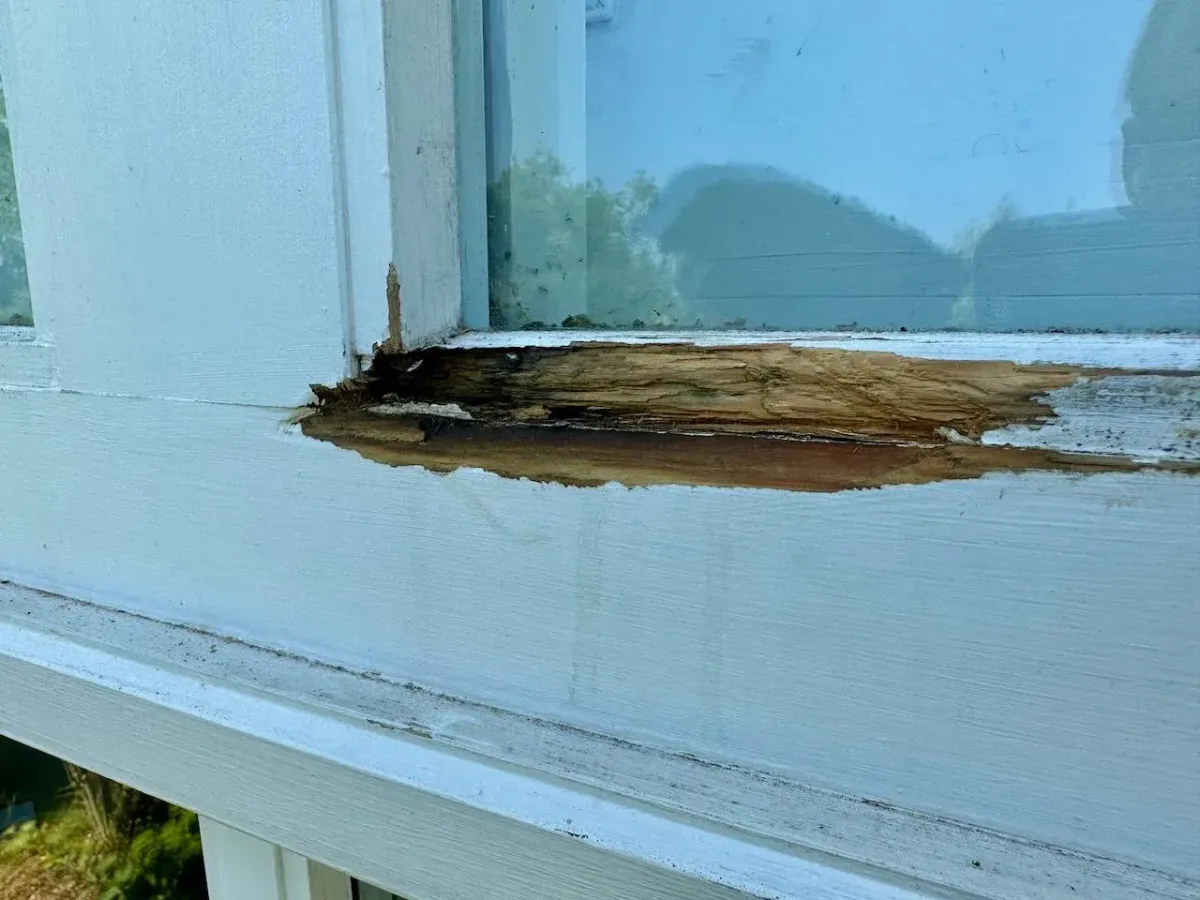 window repair oakville sash repair