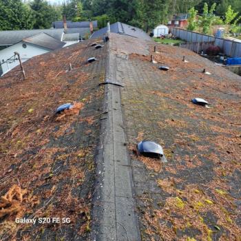 Debris Covered Roof Example