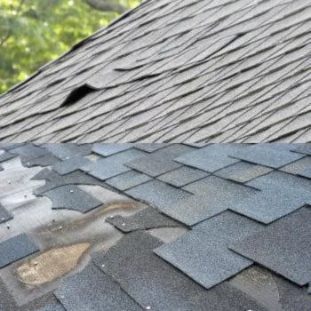 Examples Of Curled & Broken Shingles