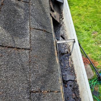 Example Of Roofing Granules In Gutters