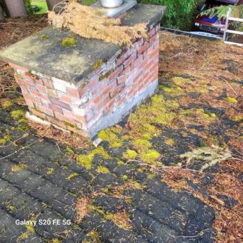 Roof In Need Of Cleaning
