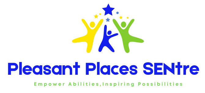 Bridge Academy logo