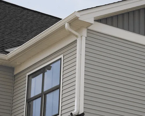 Old Gutter Removal in Grand Rapids