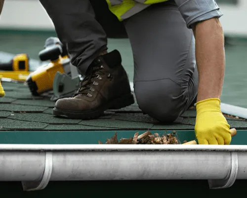 Gutter Cleanouts in Grand Rapids