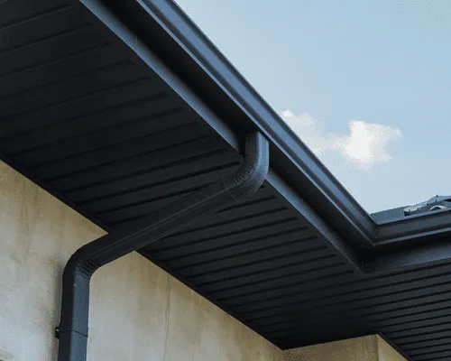 Old Gutter Removal Grand Rapids