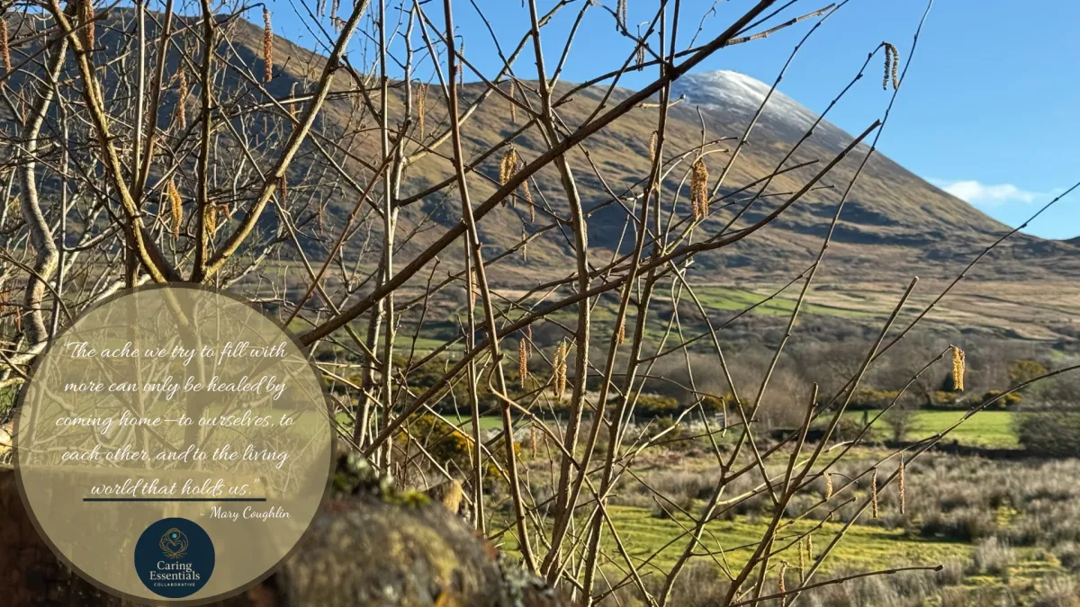 A Porch in County Mayo: Reflections on Nature, Capitalism, and Coming Home
