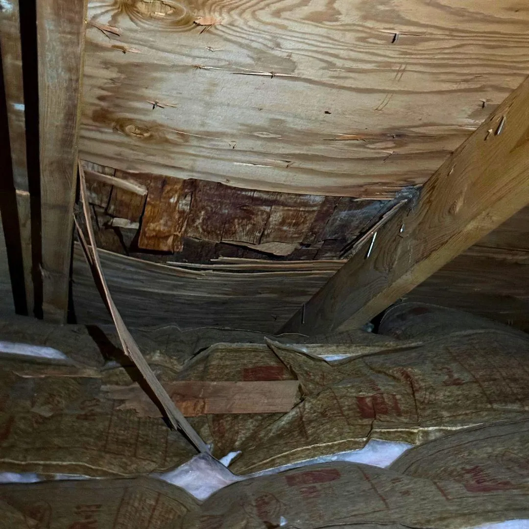 Emergency roof repair Hayden ID - fast response for leaks and water damage in attic