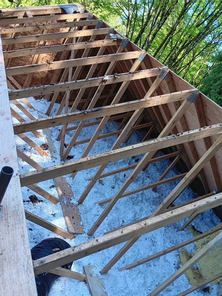 Thor Construction LLC