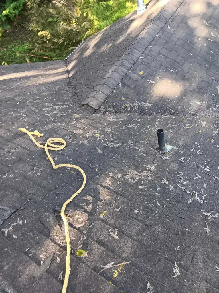 Thor Construction LLC
