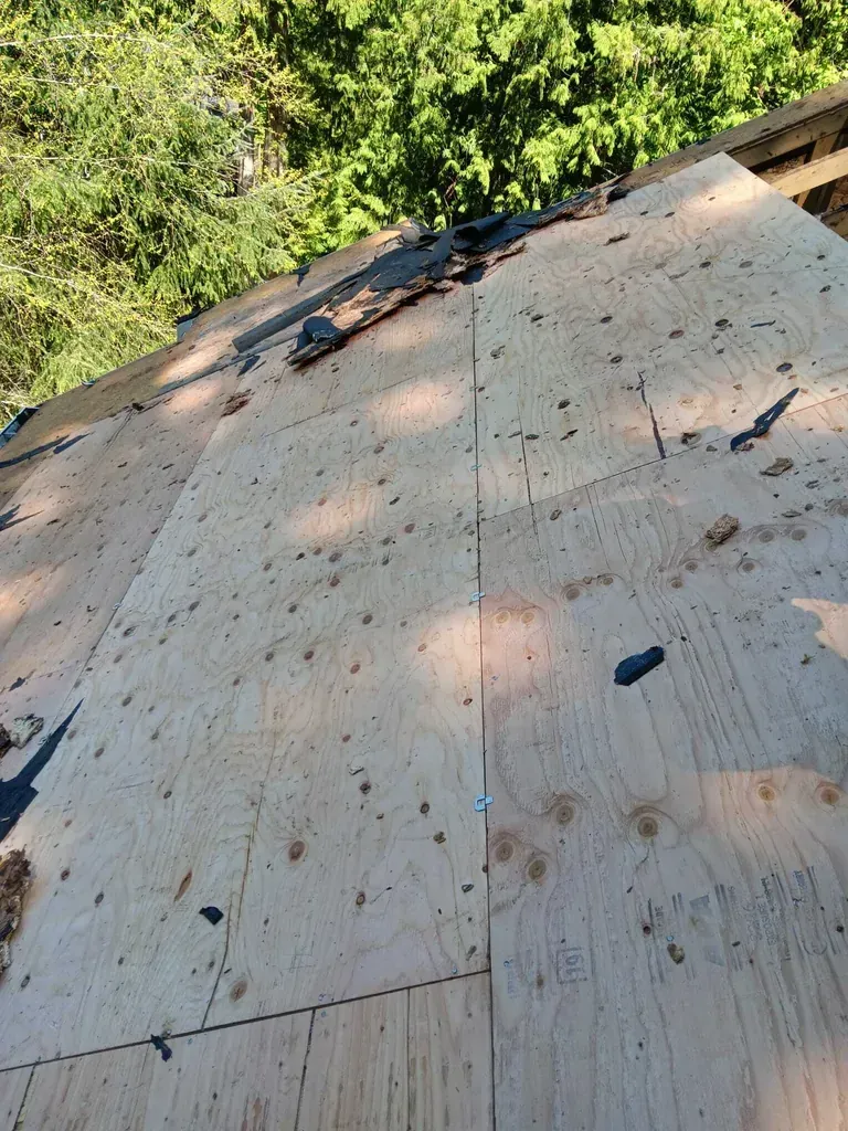 Thor Construction LLC