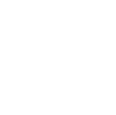 Logo Footer