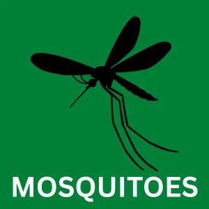 Mosquito control in San Antonio