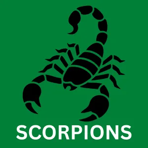 Scorpion control in San Antonio