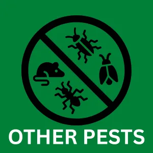 Comprehensive pest control in San Antonio