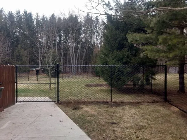 chain link fence