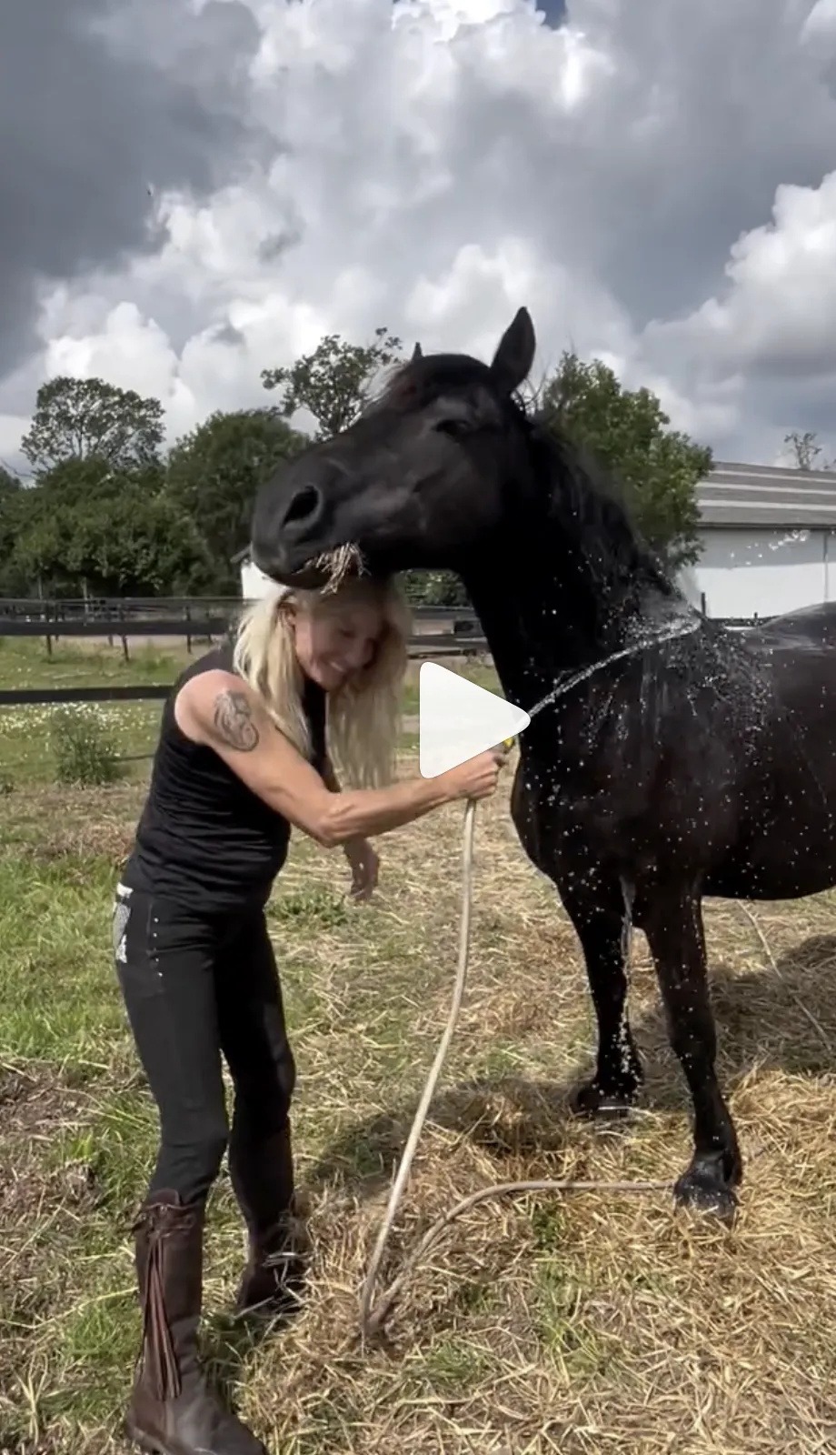 WHC, When Horses Choose
