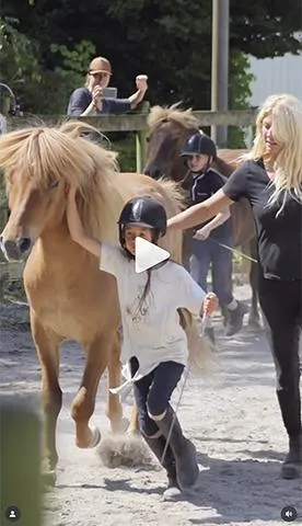 Safety training, WHC, When Horses Chose