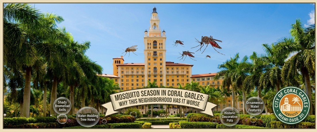 Mosquito Season in Coral Gables: Why This Neighborhood Has It Worse (And What to Do About It)