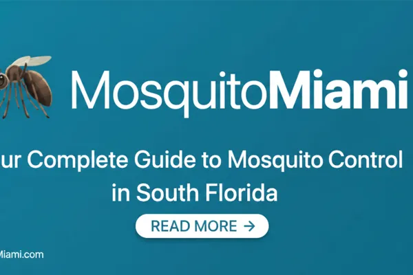 How Often Should You Spray for Mosquitoes in Miami? A Rainy-Season Schedule That Works