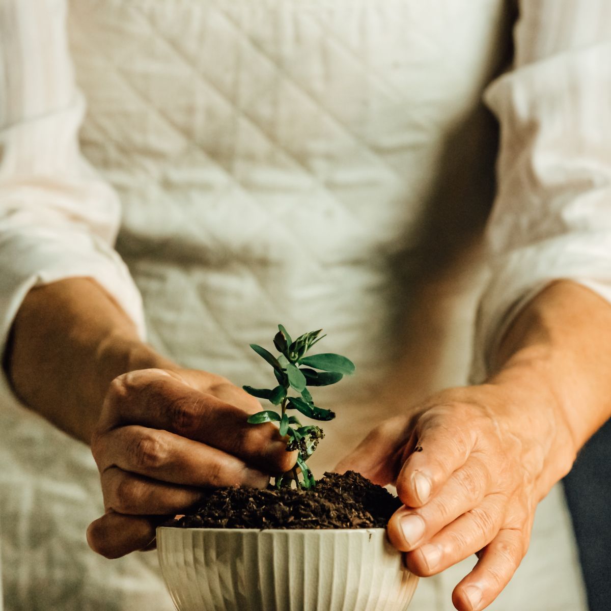 Small Moments of Happiness