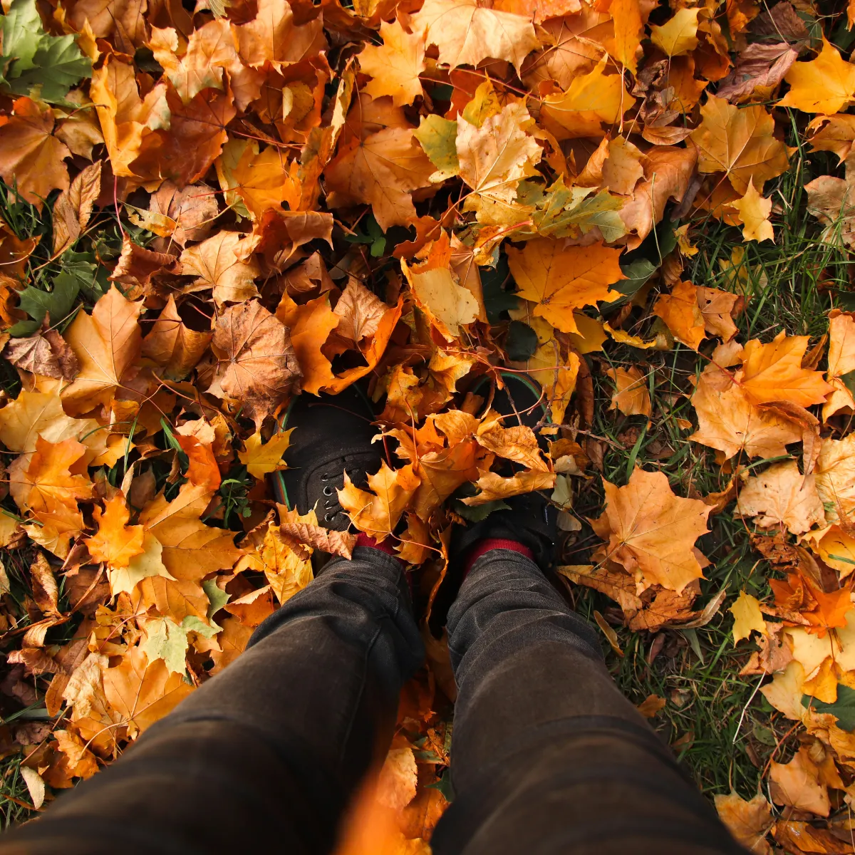 Facing New Seasons... and New Moods