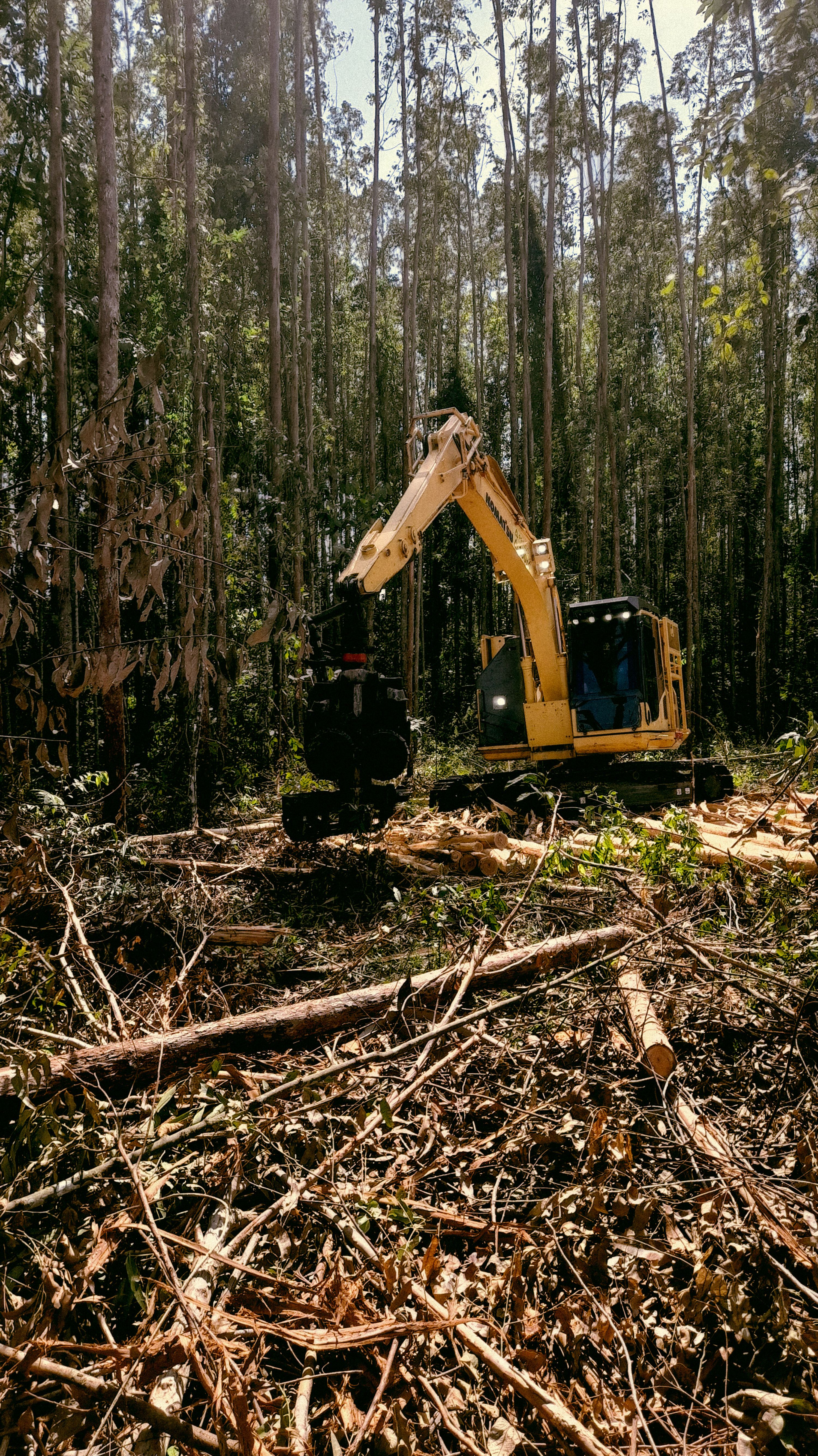 precision land clearing services in anoka county mn